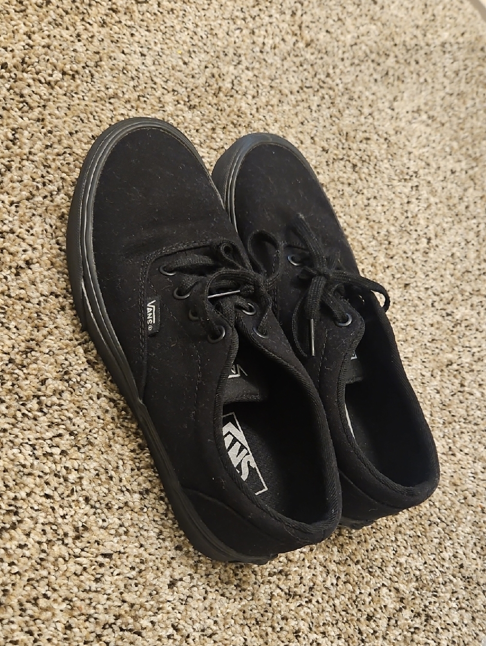 Vans Black Suede Low-Profile Lace-Up Sneakers